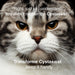 Funny image of stern looking cat saying - Right, just so i understand. You didn't reorder the Cystassist? Sign off line is, Transforme Cystassist ...keep it handy.